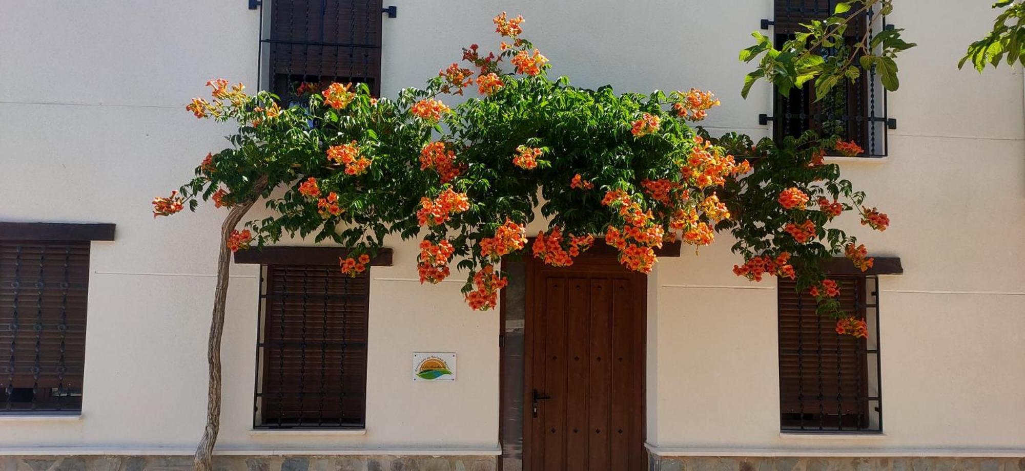 Villa El Molino De Alatoz Exterior foto